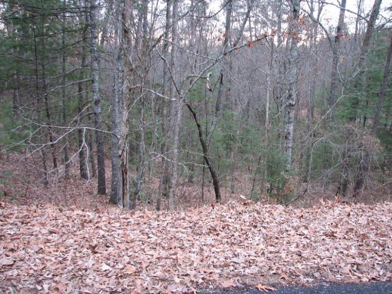 Hill Top Road Lot 10 A McNabb Properties