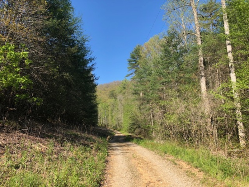 Kristen Drive McNabb Properties