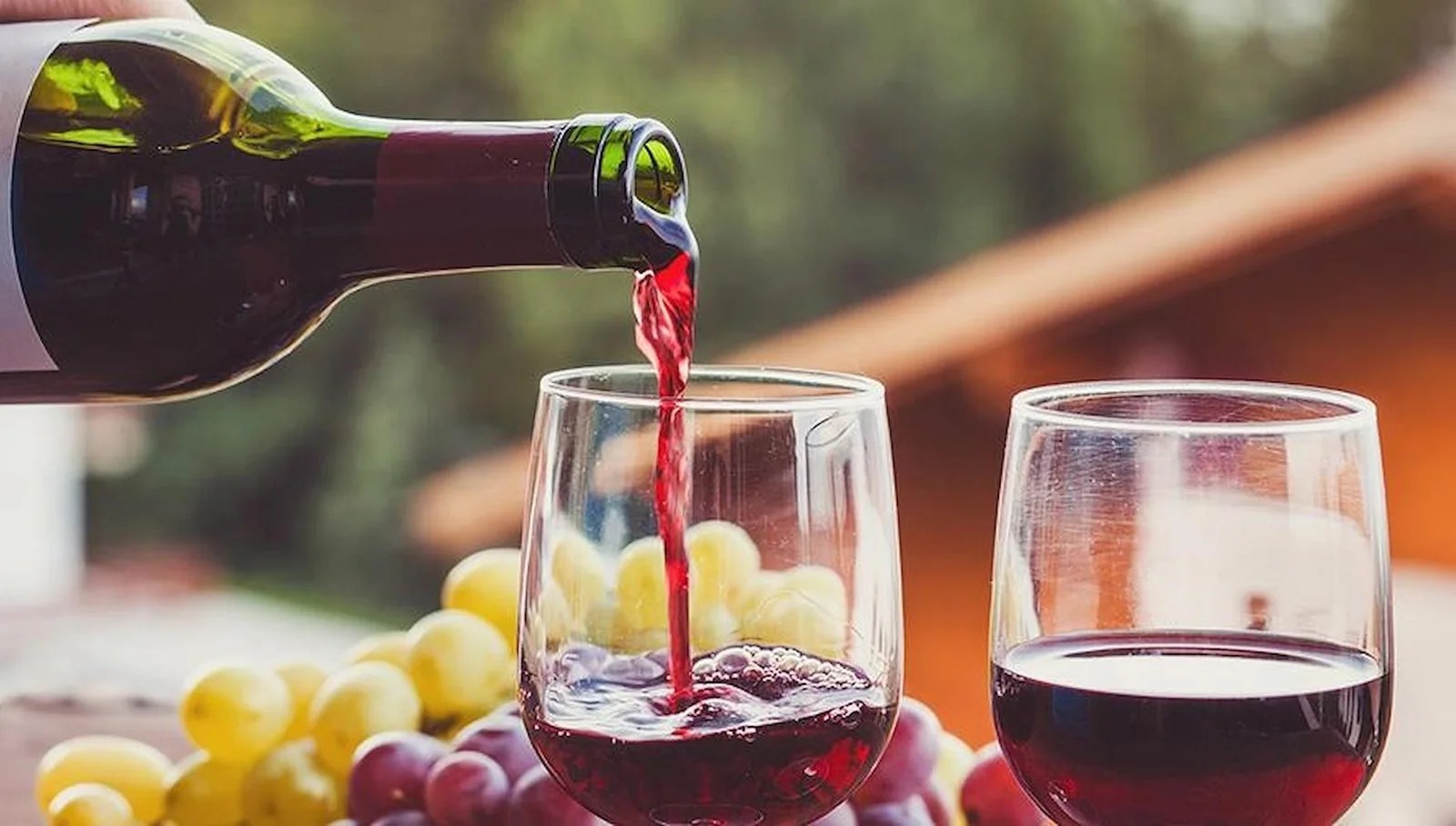 Everything You Need To Know About Cotes Du Rhone Wine Mega Content Network