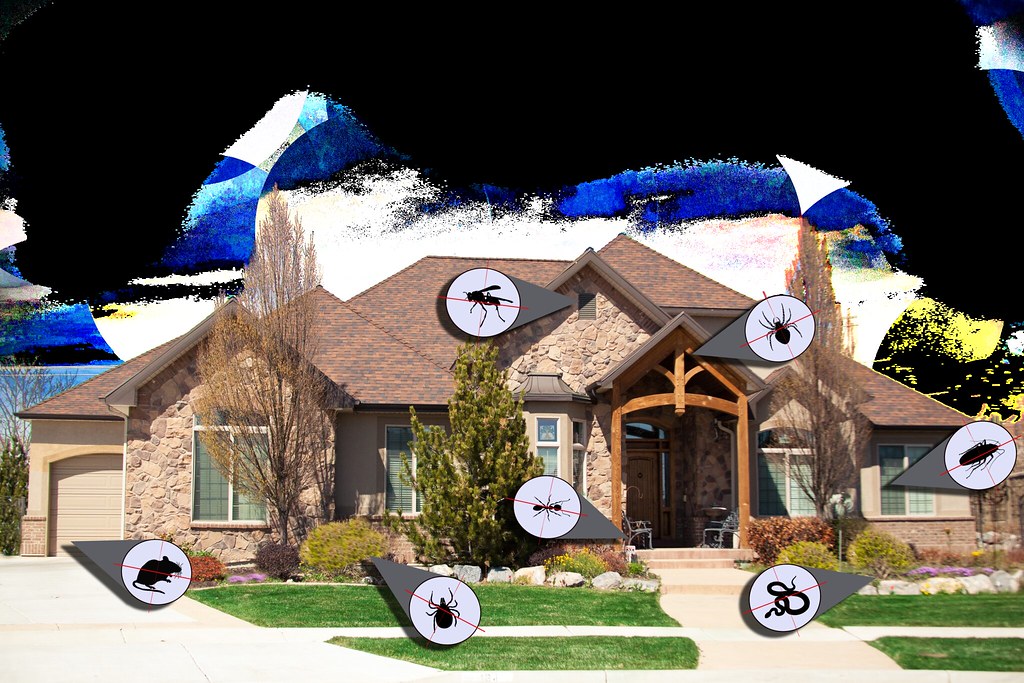 The Best ways to Protect your home from pests and insects
