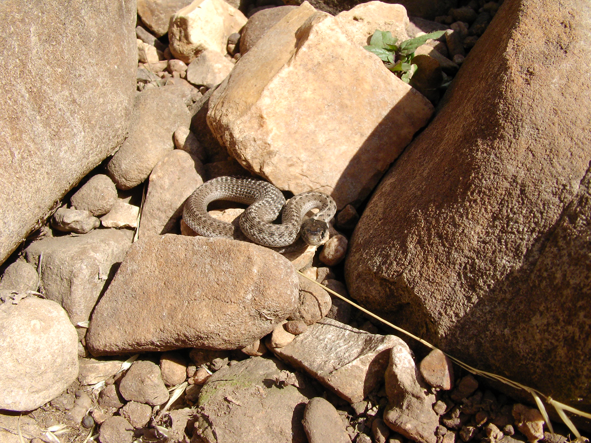 Any Campers/Fishers? VW Vortex Volkswagen Forum