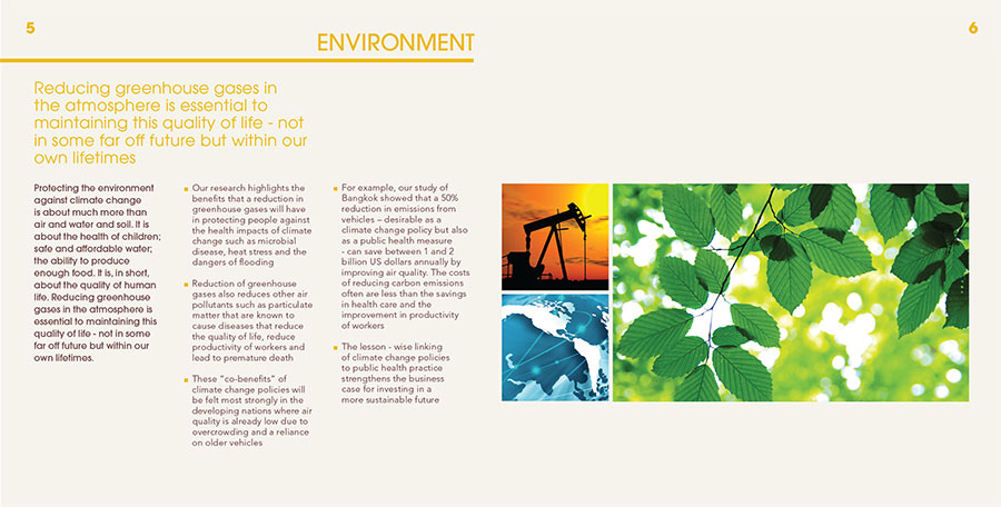Cambridge University Climate Change Dept Brochure Michelle Cowles