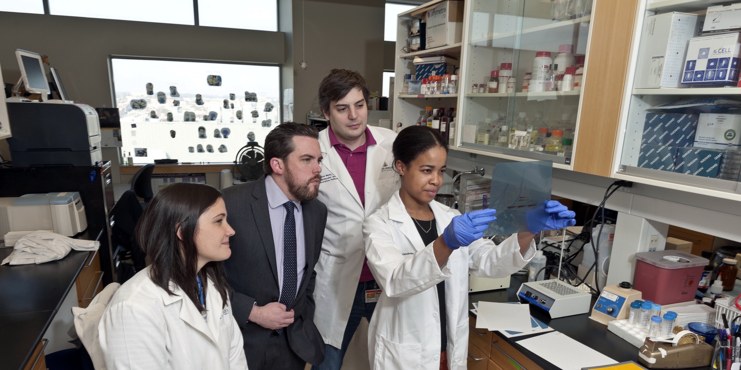 The Department of Molecular & Comparative Pathobiology