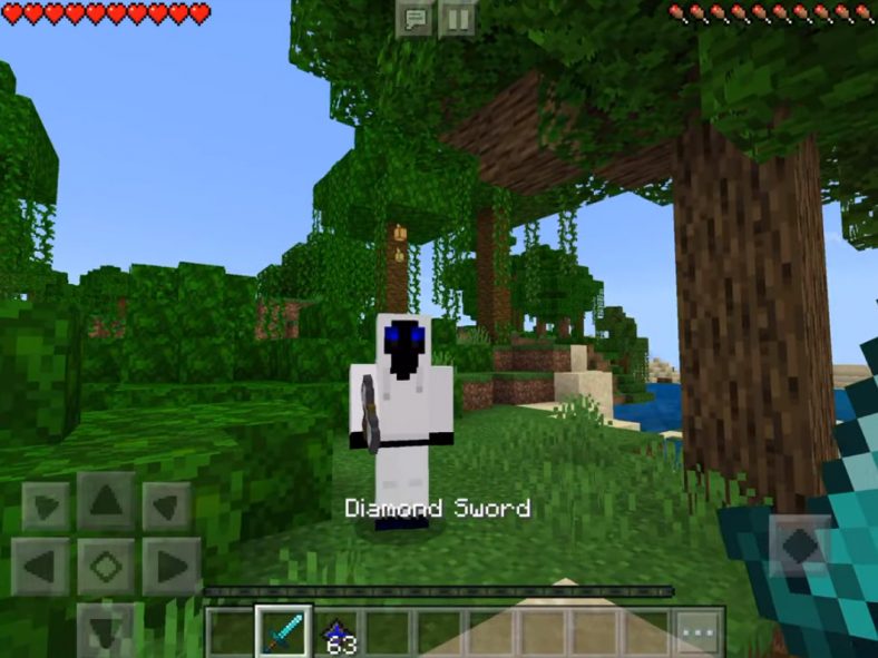 Entity_505 Addon(Mod) Minecraft PE Bedrock Addons, Minecraft PE