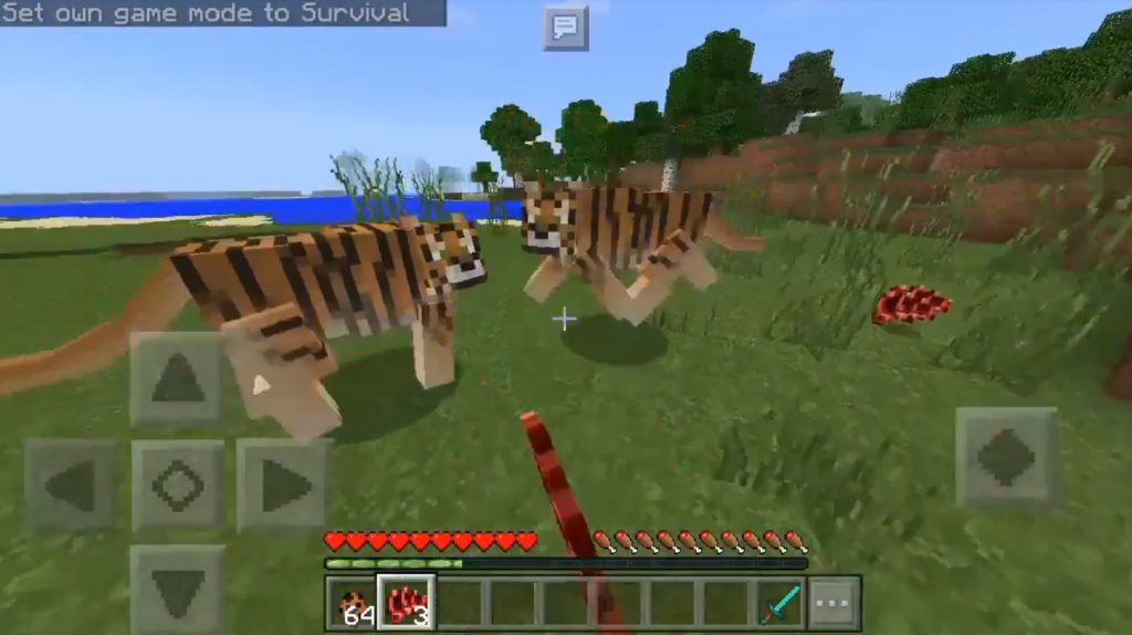 Tiger Addon(Mod) Minecraft PE Bedrock Addons, Minecraft PE Bedrock Mods