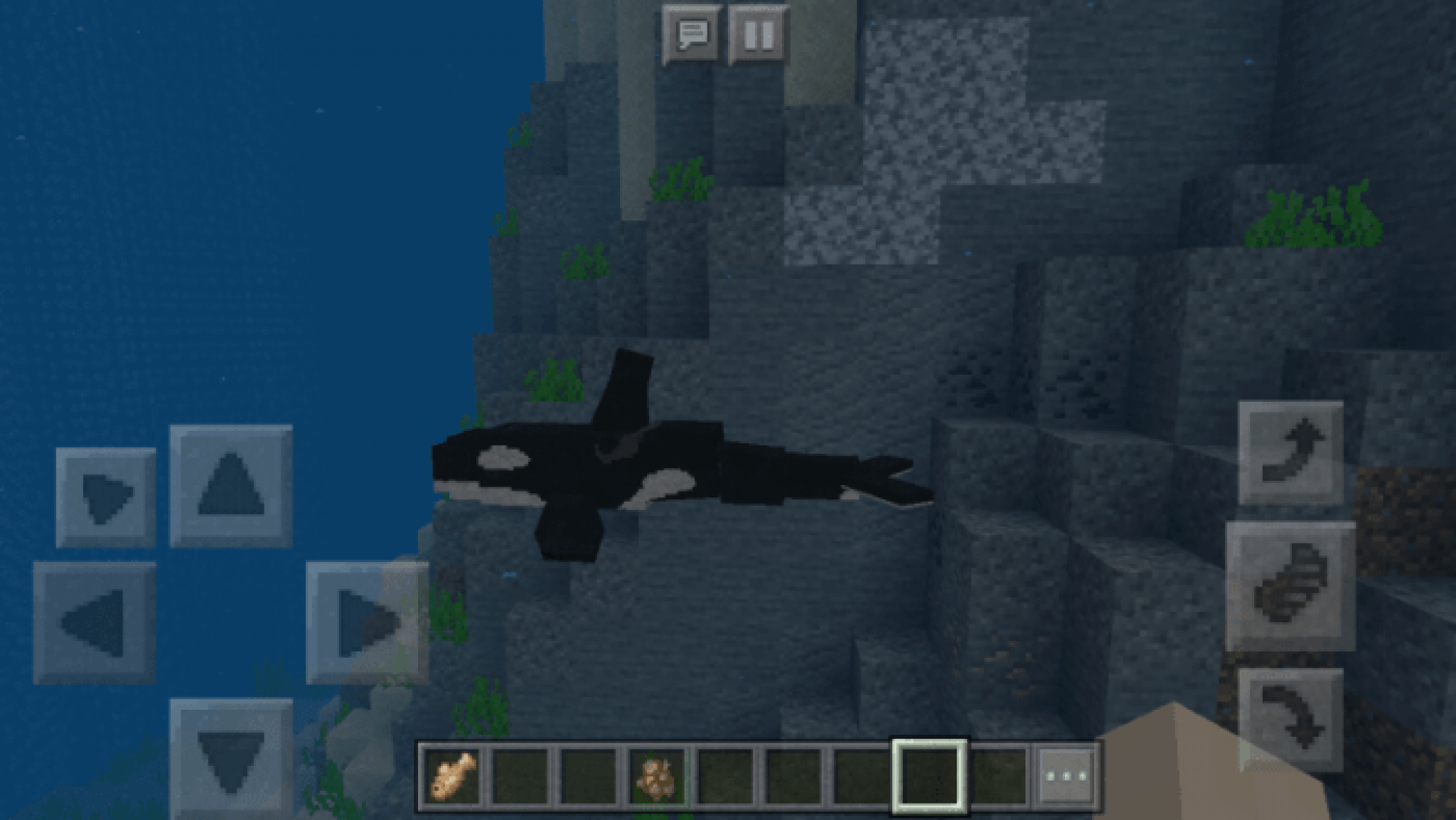 Dolphins Plus Addon Minecraft PE Bedrock Addons