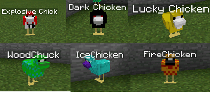 Chicken World Minecraft PE Mods & Addons