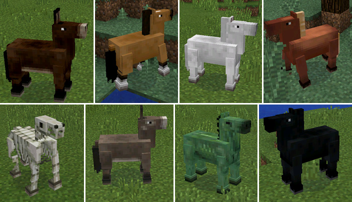 Horse Mod For Minecraft Apps on Google Play