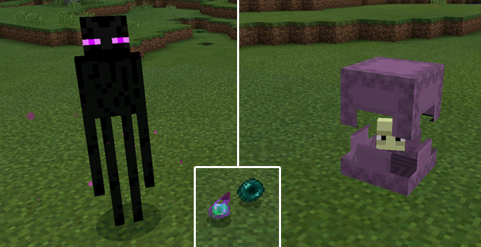 Levitation Potion Addon (0.17.0 Only!) Minecraft PE Mods & Addons