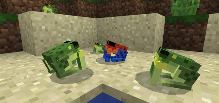 Imagine a amphibia Minecraft mod : r/amphibia reddit