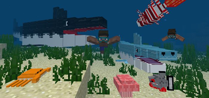 OceanCraft PE Addon Minecraft PE Mods & Addons