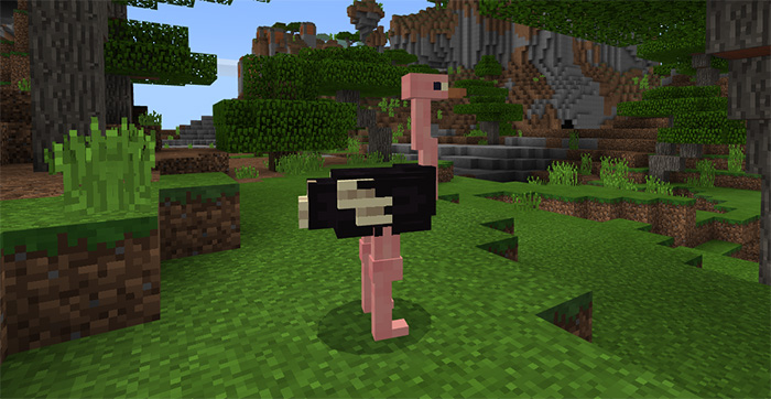 Ostrich Addon (Biome Chooser Concept) Minecraft PE Mods & Addons