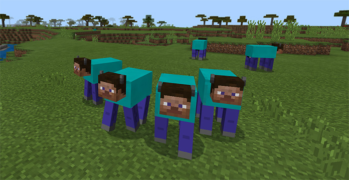 Steve Cow Addon Minecraft PE Mods & Addons