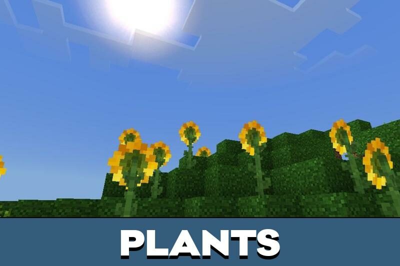 Download Console Shader for Minecraft PE Console Shader for MCPE