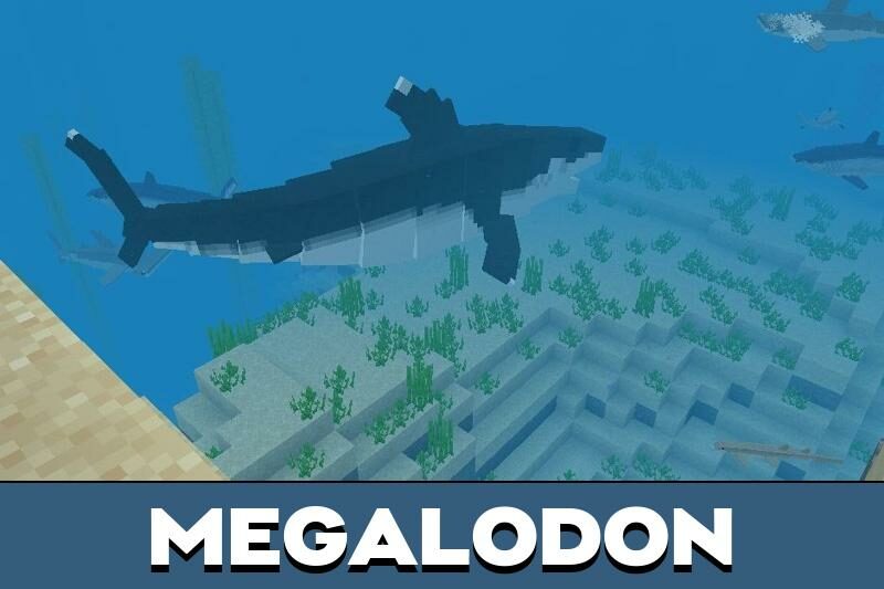 Download Shark Mod for Minecraft PE Shark Mod for MCPE