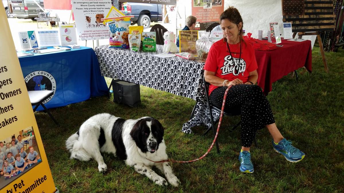 MOORE COUNTY KENNEL CLUB (MCKC) SHOW, PINEHURST, MAY 4TH AND 5TH, 2019