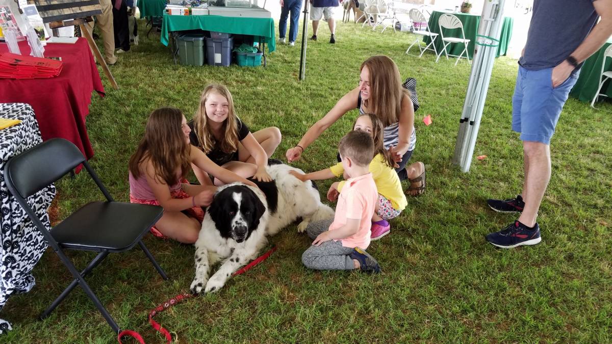 MOORE COUNTY KENNEL CLUB (MCKC) SHOW, PINEHURST, MAY 4TH AND 5TH, 2019