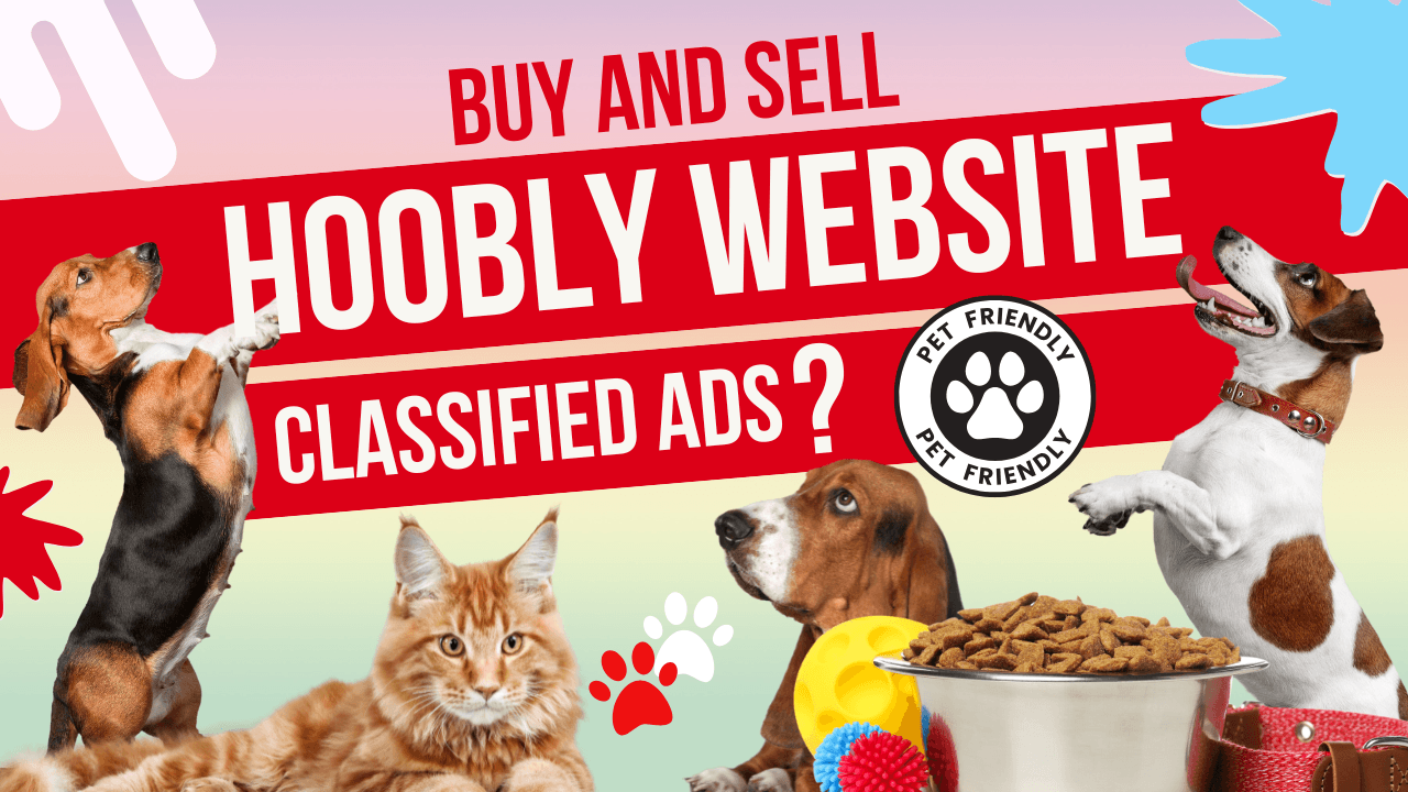 Hoobly Classified Ads Everything You Need To Know In 2025