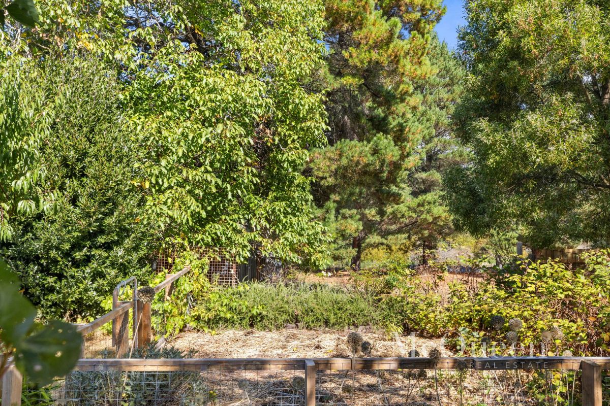 54 Grenville Street McQueen Real Estate