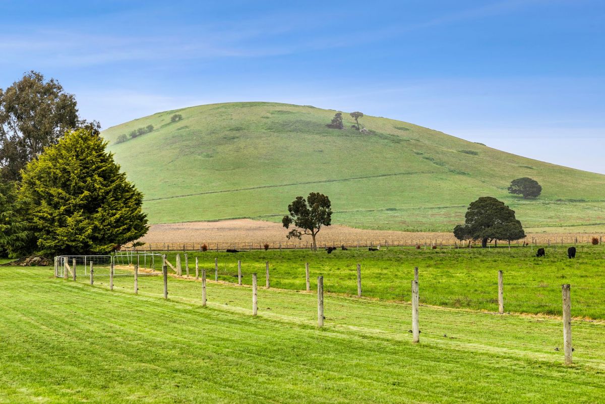 125 Victoria Road McQueen Real Estate