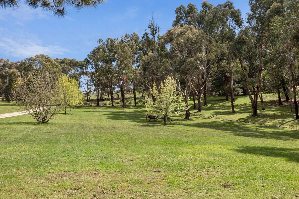 516 Porcupine Ridge Road McQueen Real Estate