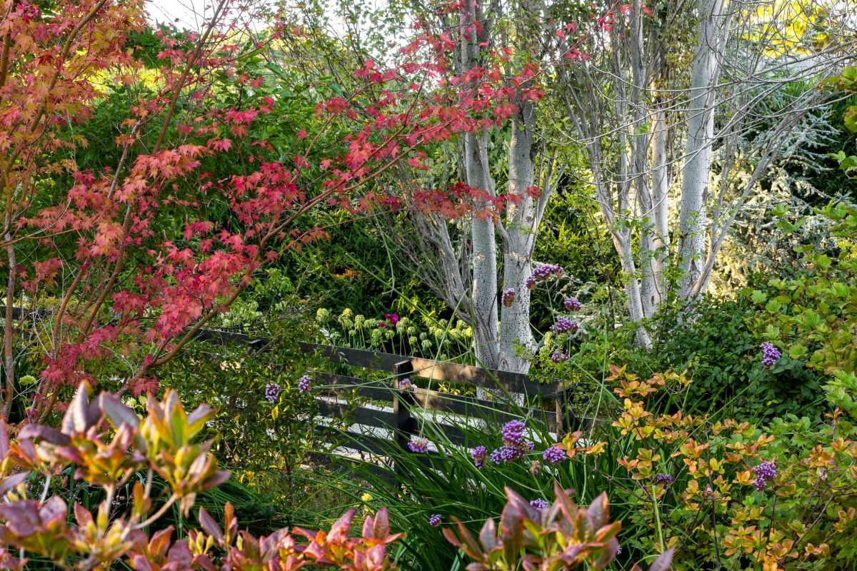 2 West Street McQueen Real Estate