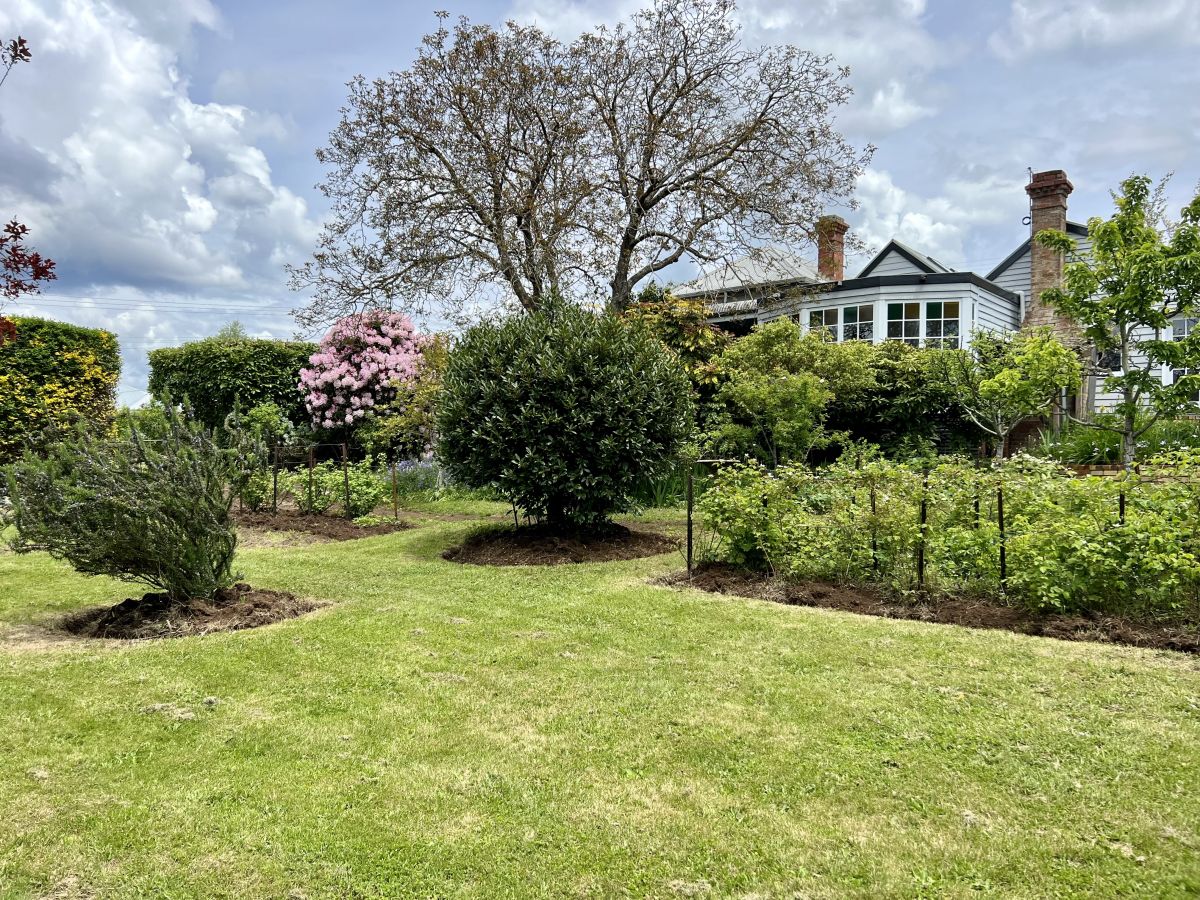 25 Stanbridge Street McQueen Real Estate