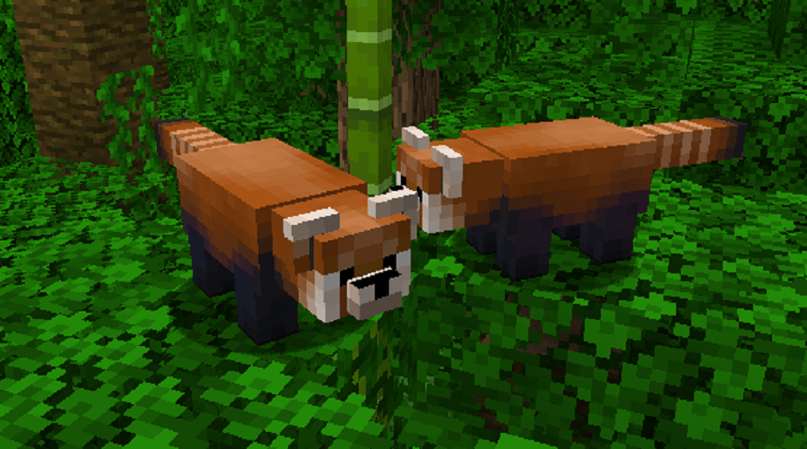 Red Pandas MCreator