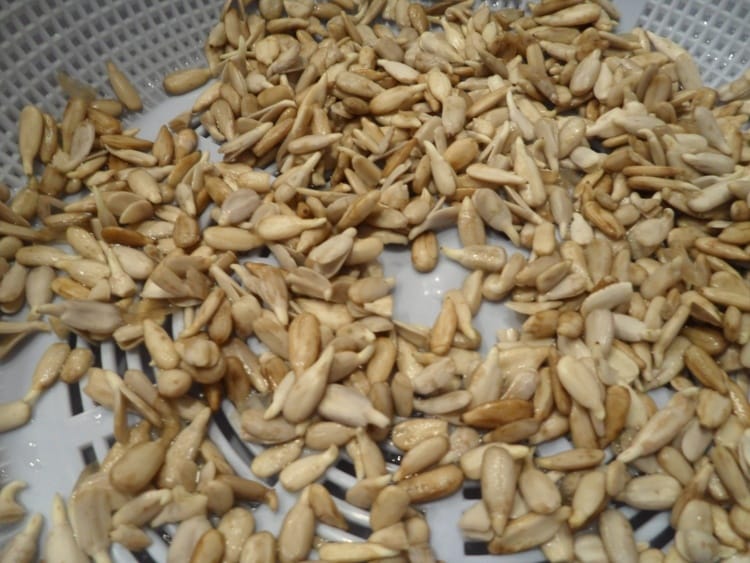 FREE Tips For Perfect Eyesight Part 2