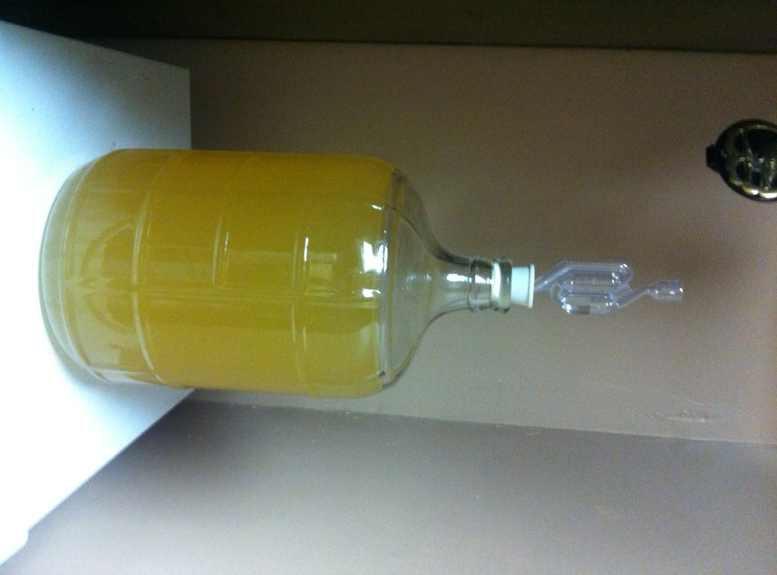 Mead racking has proven to be a messy process. Mary Snyder