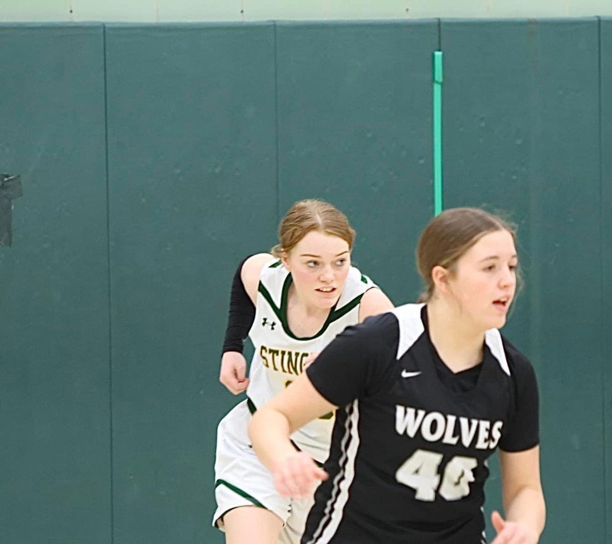 A Look at the Stingers Junior High Basketball This Season The Stinger