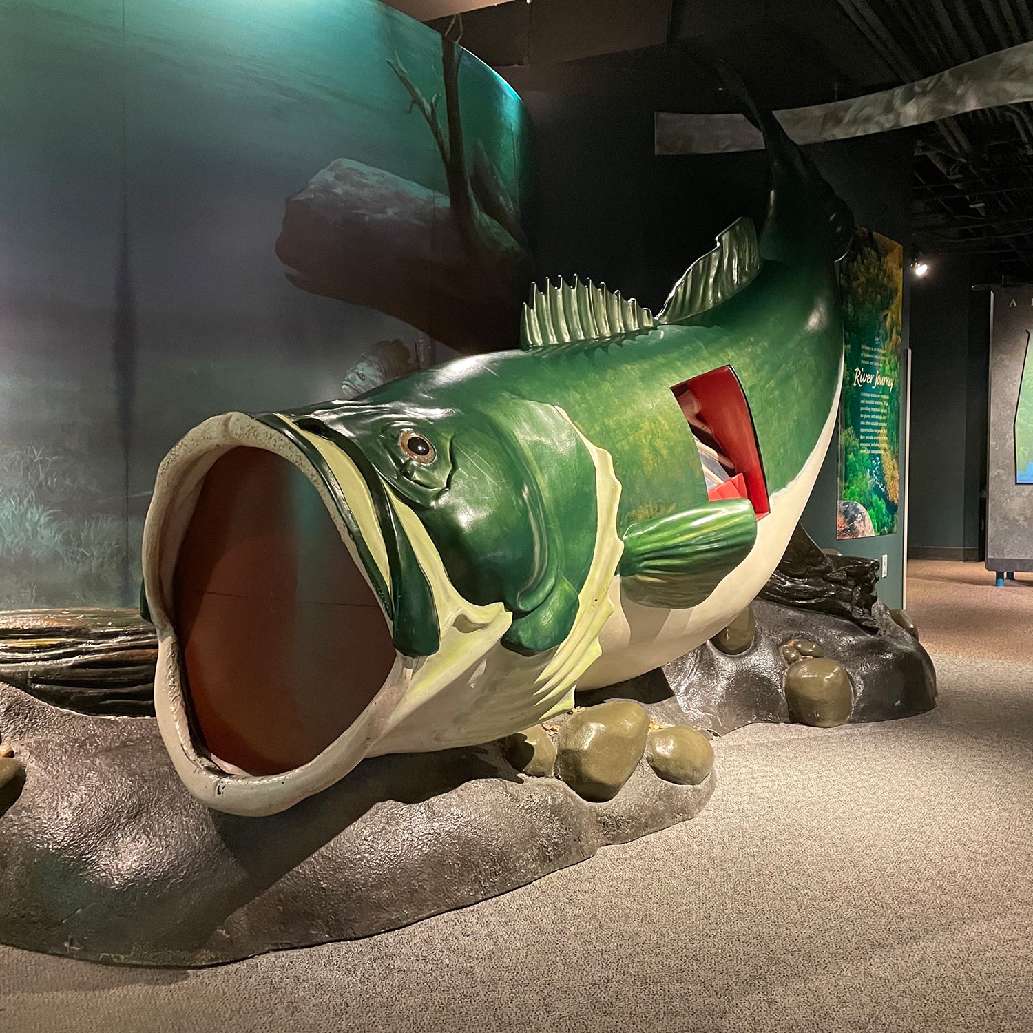 World of Water Aquariums Birmingham, AL McWane Science Center