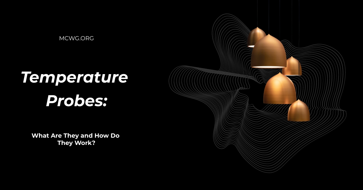 Temperature Probes What Are They and How Do They Work?