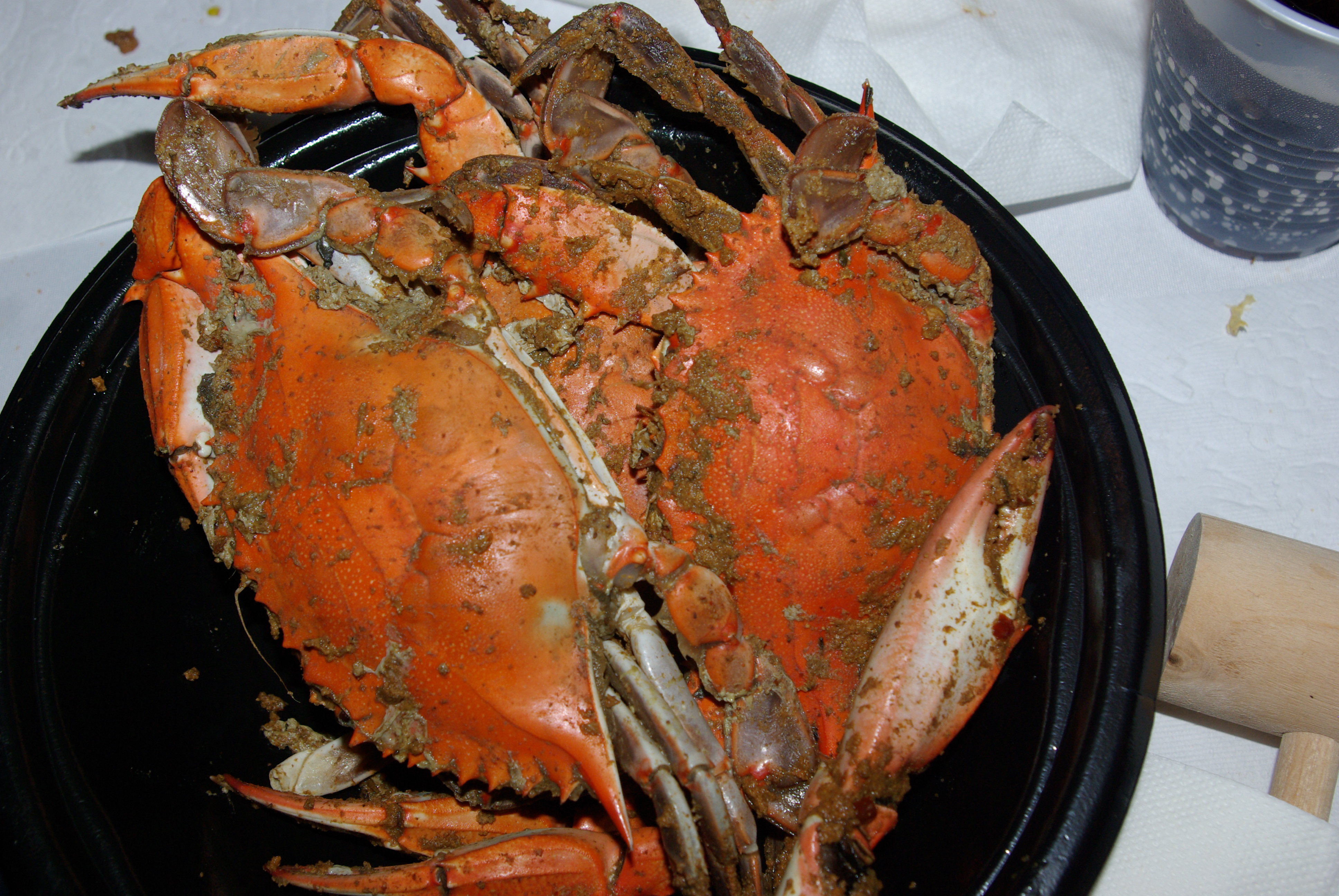 CUB Celebrates Summer with Crab Feast AFTMaryland