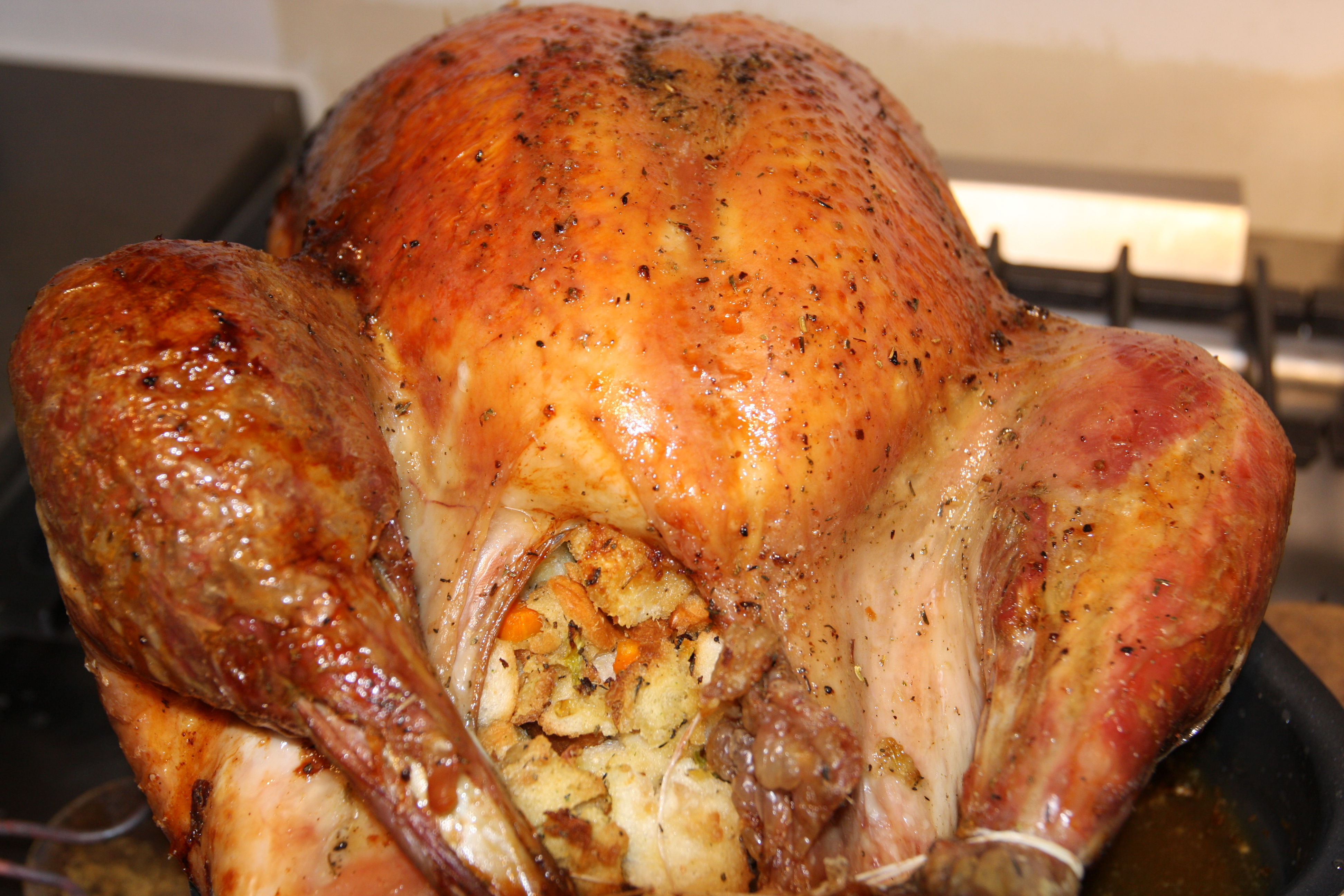 Roast Turkey BigOven 167511
