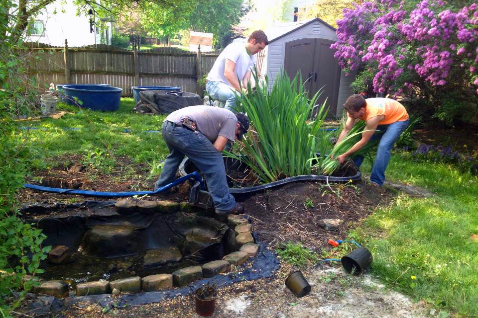Master Aquascape Services for Perfect Water Gardens