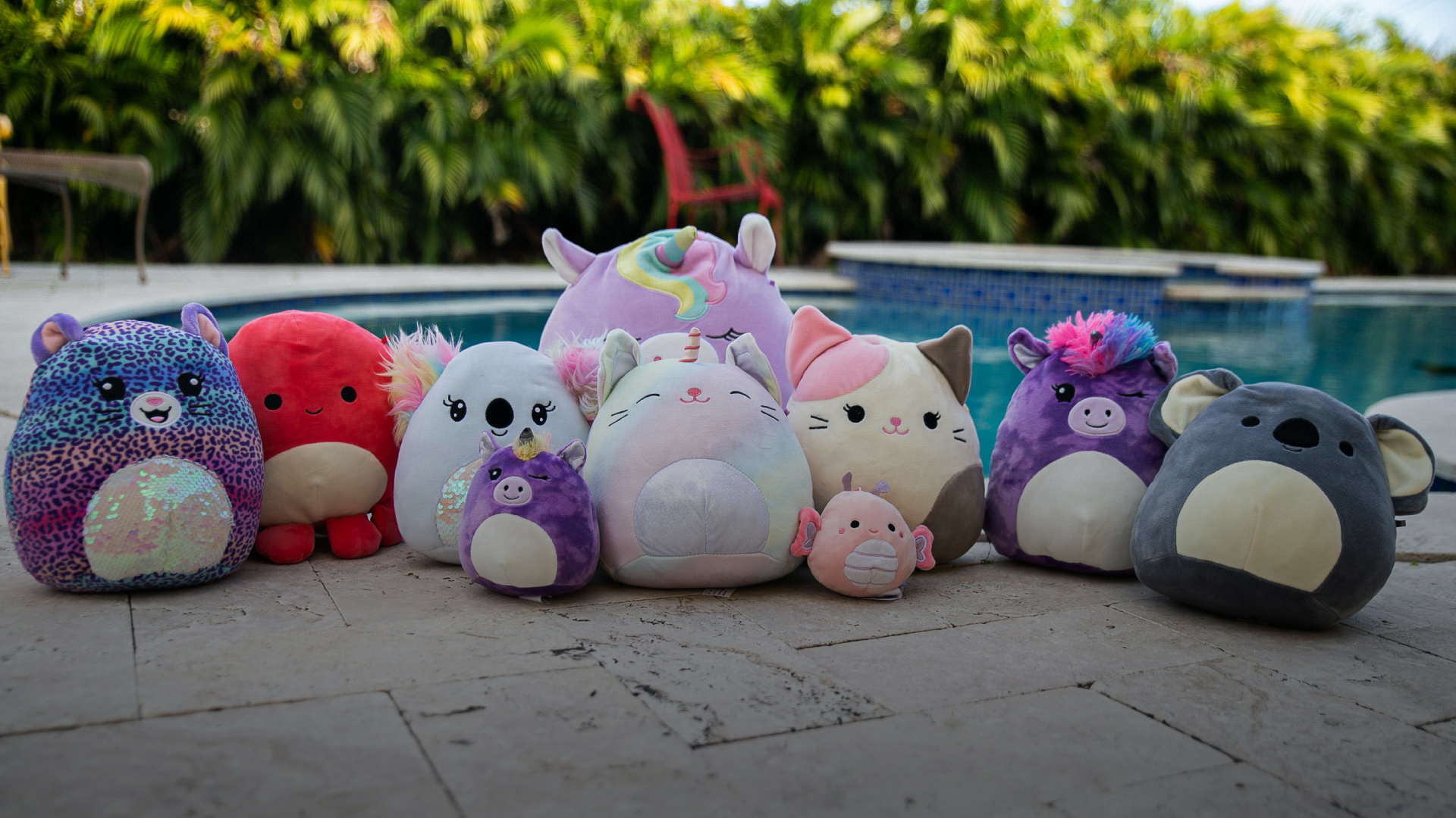 Squishmallows The Beanie Babies Of The 2020s