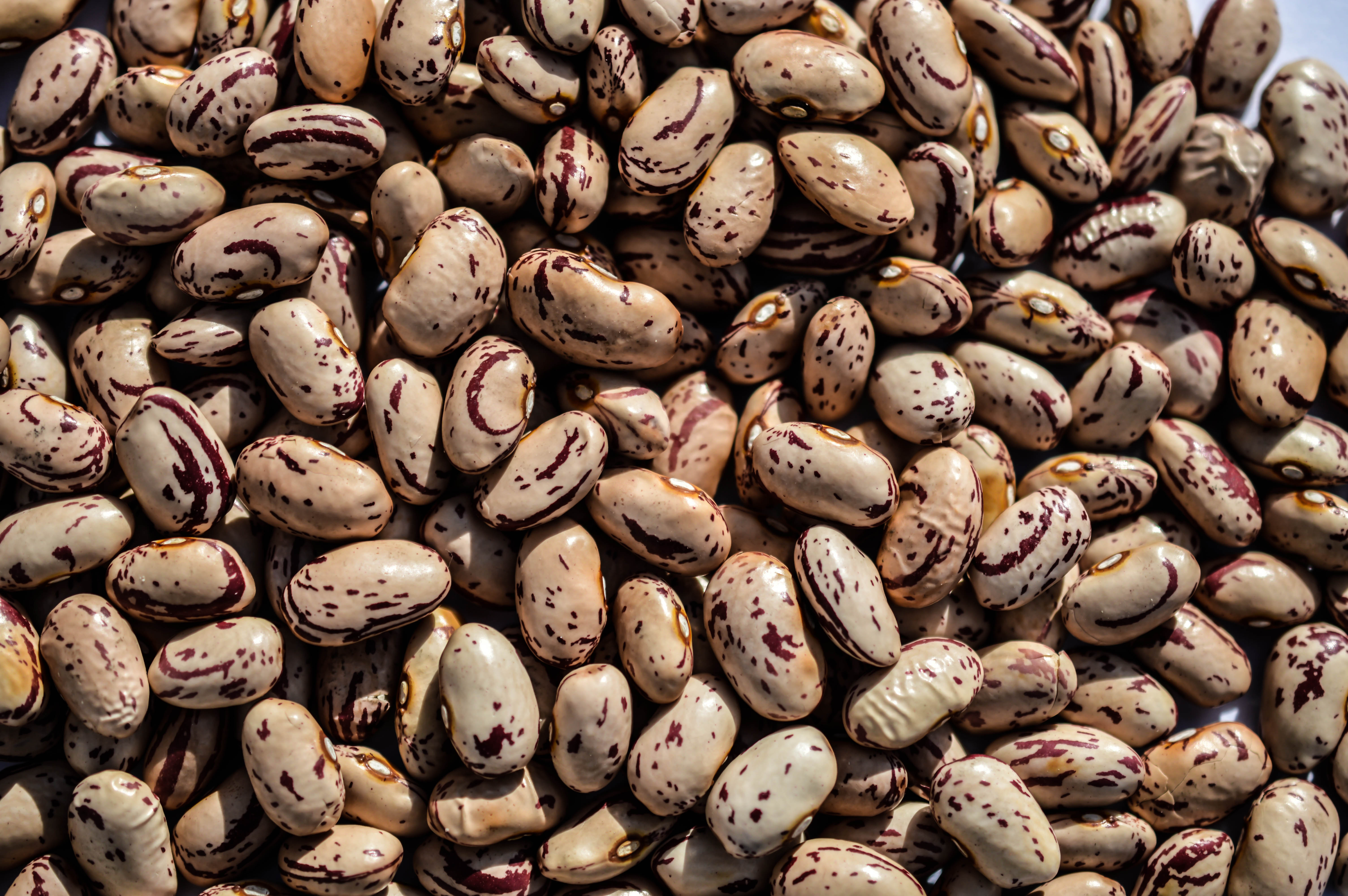 Cranberrybeans MDECA