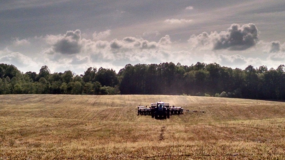 Anne Arundel County Young Farmers Farm Consignment Auction Maryland