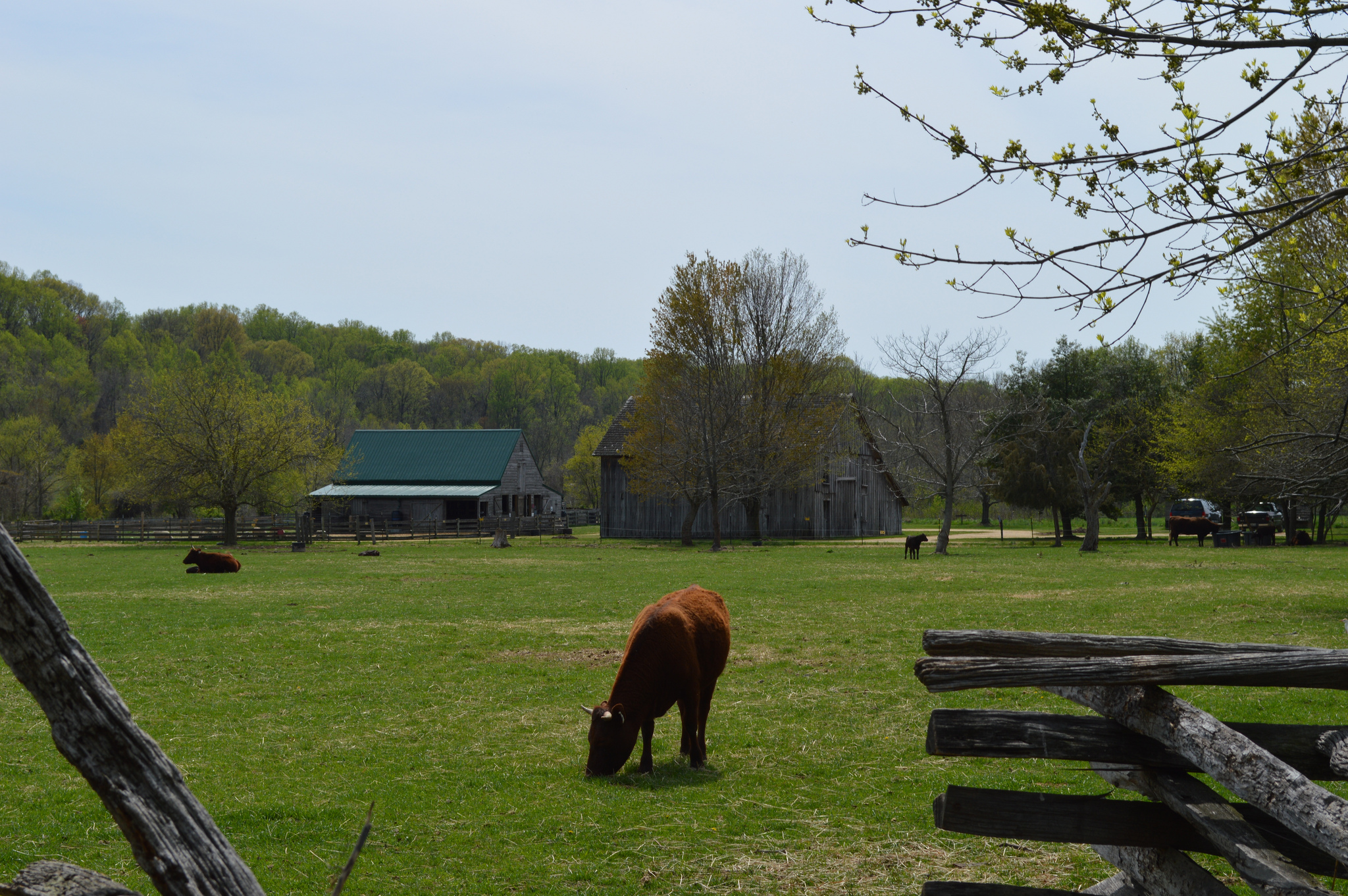 National Colonial Farm Maryland Historic District