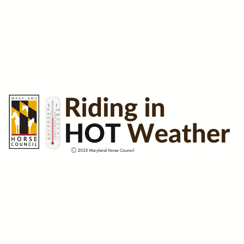 Riding in Hot Weather The Maryland Horse Council