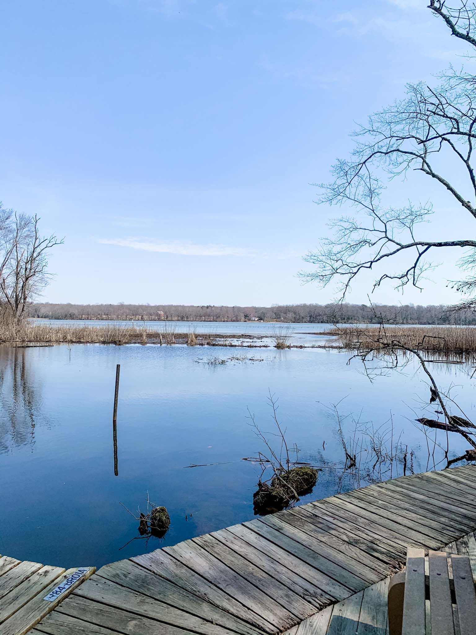 Jug Bay Natural Area Maryland Kid Adventures