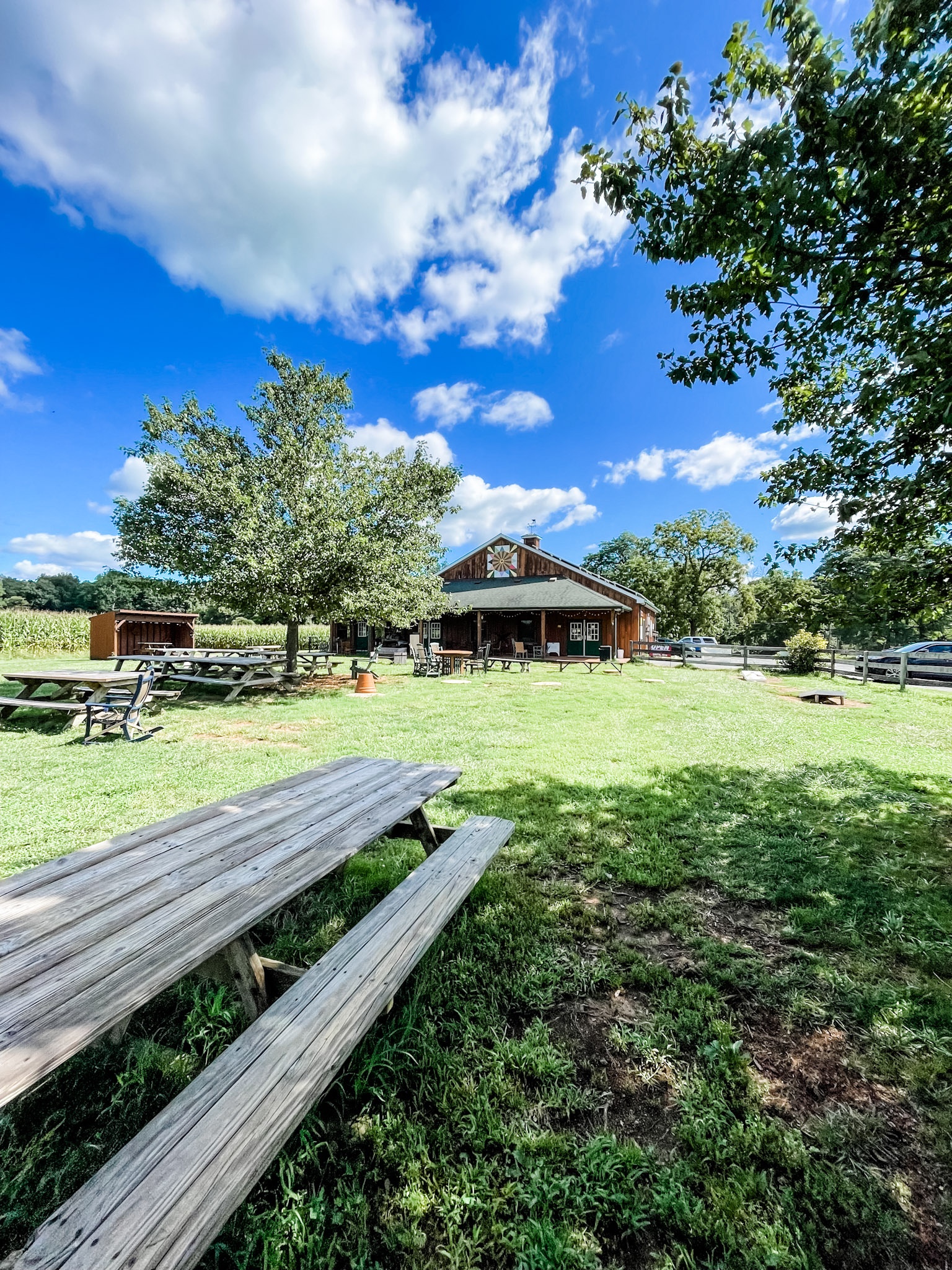 Broom’s Bloom Dairy Maryland Kid Adventures