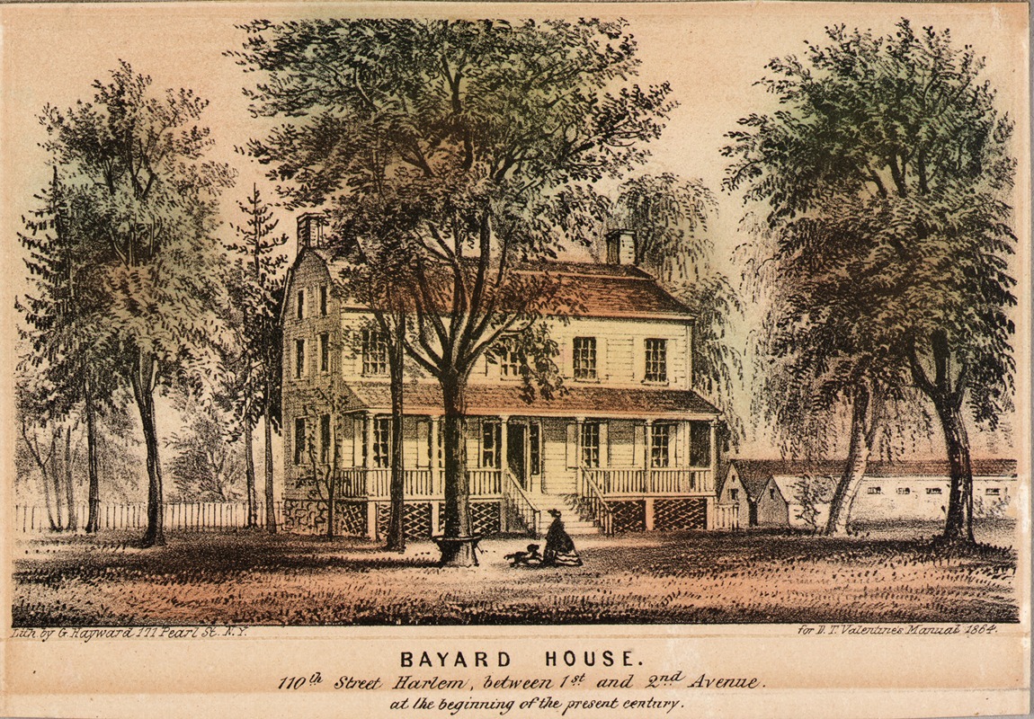 Bayard House, 110th St. Harlem between 1st and 2nd Avenue by Gerald