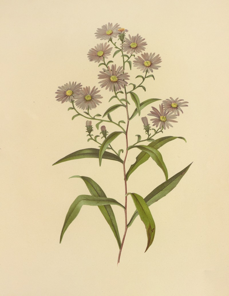 Isaac Sprague Archives Artvee