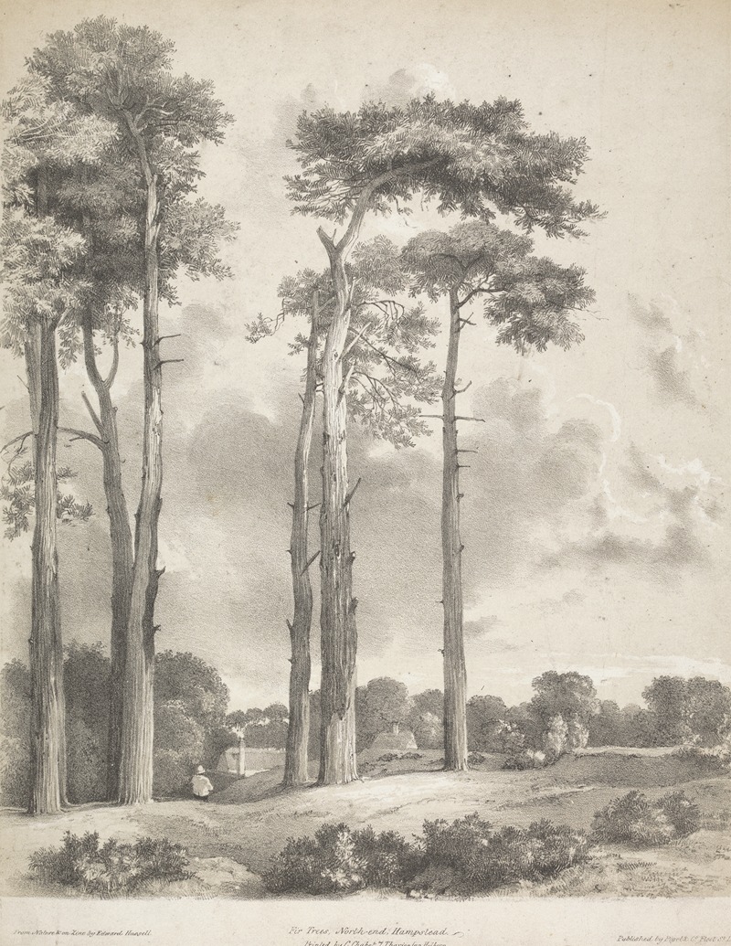 Fir Trees, North End, Hampstead by Edward Hassell Artvee