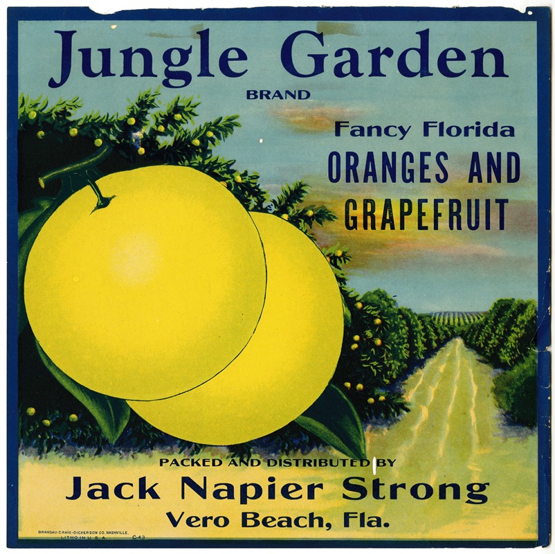 Jungle Garden Brand Citrus Label by Anonymous Artvee