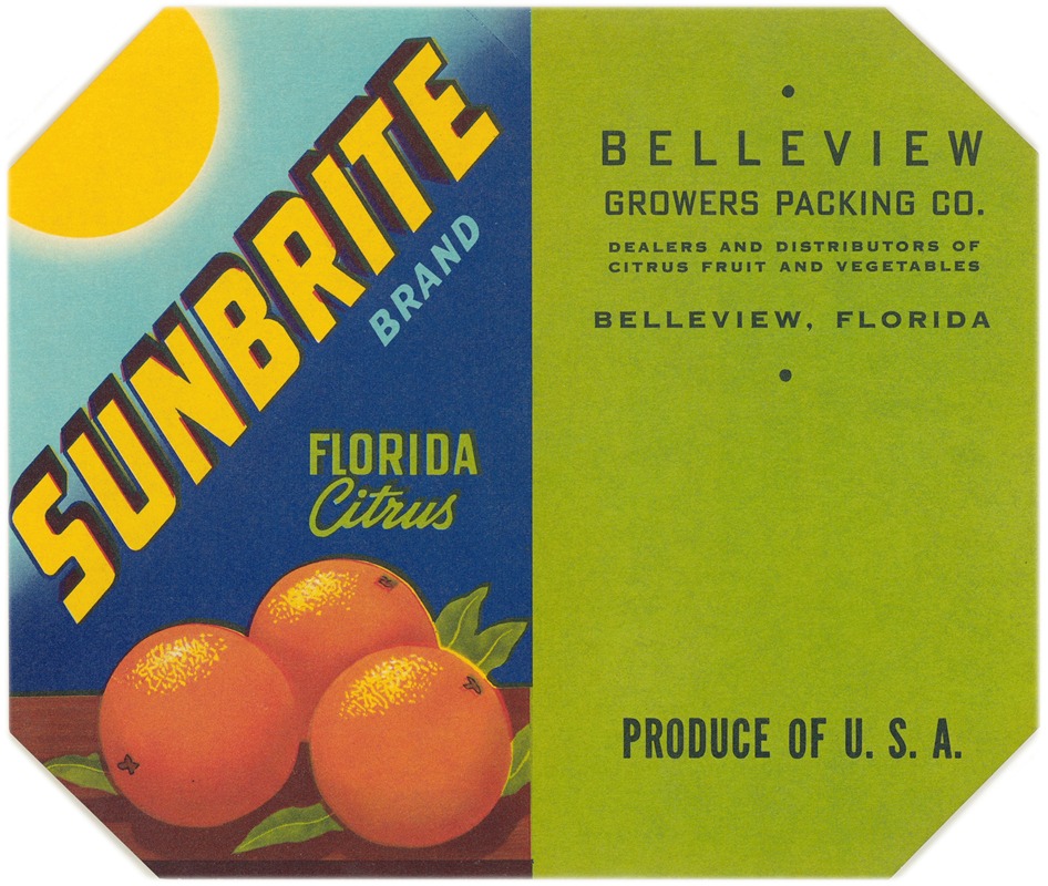 Sunbrite Brand Florida Citrus Label by Artvee