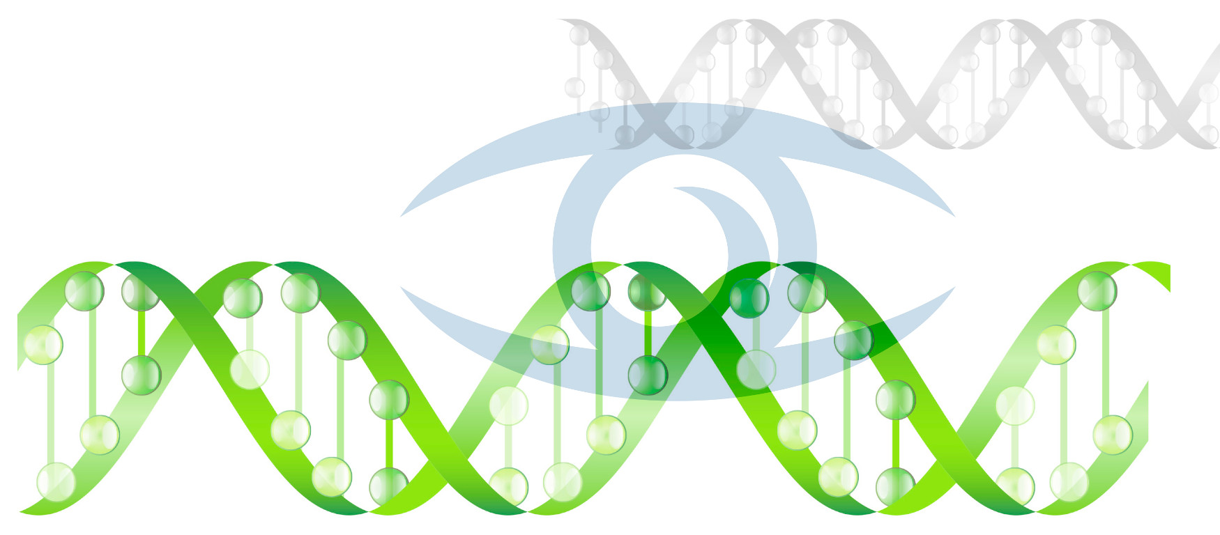 Corsi Ecm Fad Di Genetica 768_x_1750_jpg