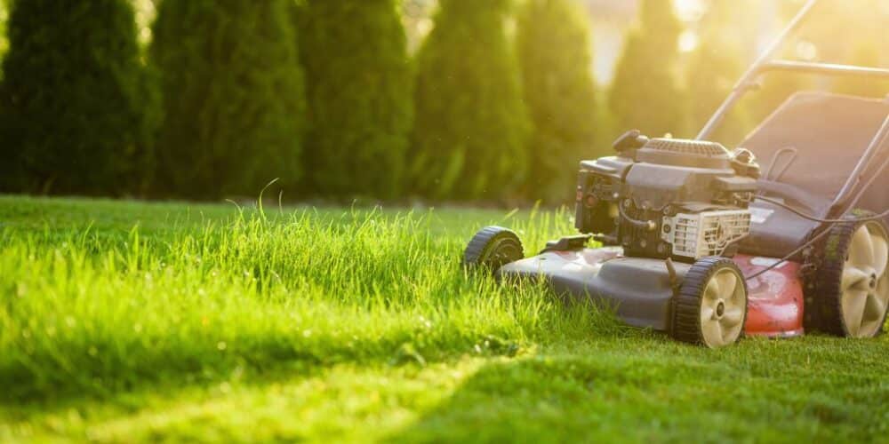 What Are the Benefits of Lawn Mowing Central Coast?